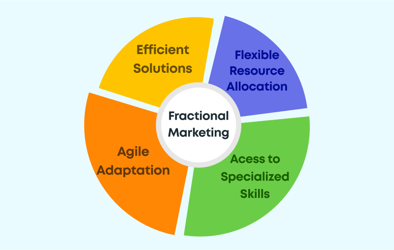 Fractional Marketing team image 2