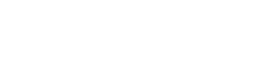 Lupo Digital logo(white)