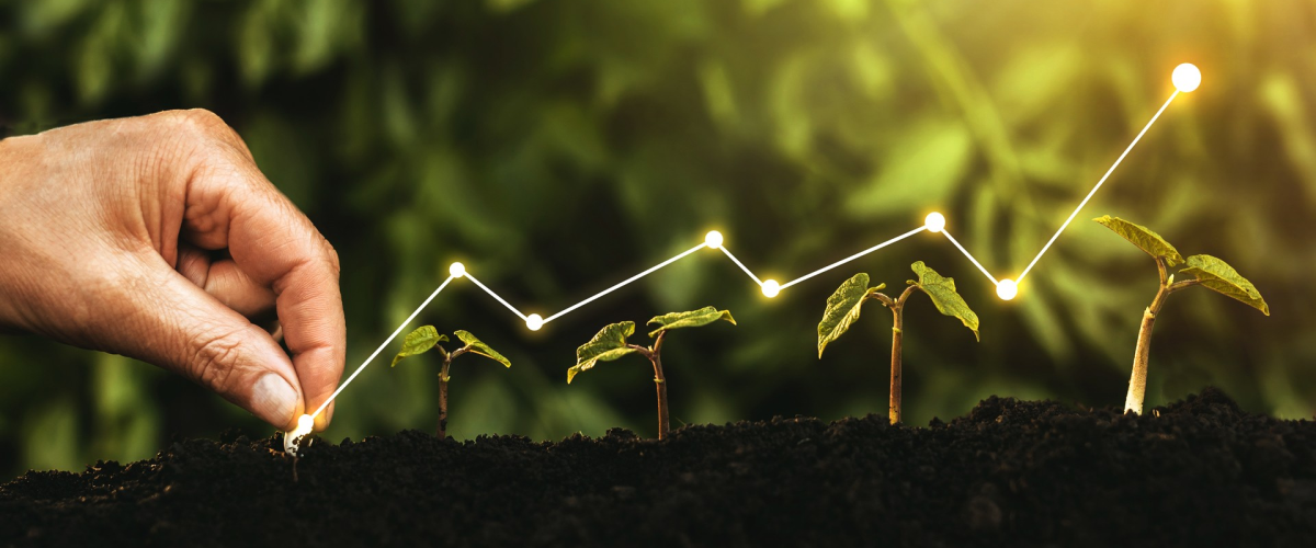 How to Use Percentage to Goal Calculators to Track Marketing Performance